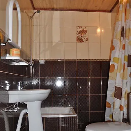 Деревянный коттедж Zacharovany Karpaty