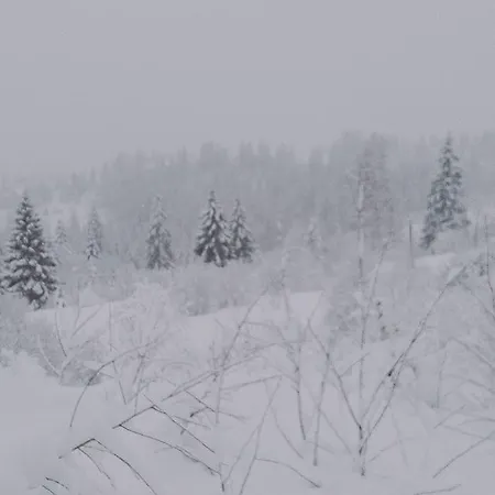 Zacharovany Karpaty *