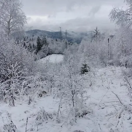 Деревянный коттедж Zacharovany Karpaty