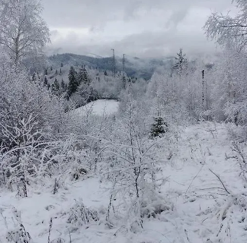 Hytte Zacharovany Karpaty